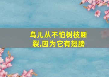 鸟儿从不怕树枝断裂,因为它有翅膀