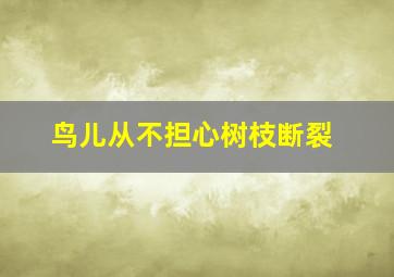 鸟儿从不担心树枝断裂