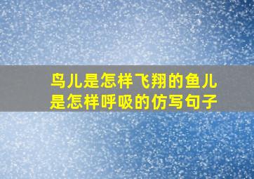 鸟儿是怎样飞翔的鱼儿是怎样呼吸的仿写句子