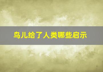 鸟儿给了人类哪些启示