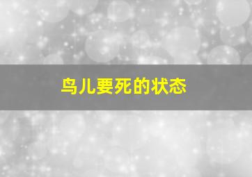 鸟儿要死的状态