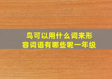 鸟可以用什么词来形容词语有哪些呢一年级