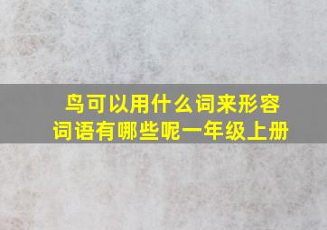 鸟可以用什么词来形容词语有哪些呢一年级上册