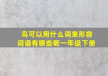 鸟可以用什么词来形容词语有哪些呢一年级下册