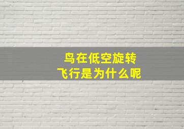 鸟在低空旋转飞行是为什么呢