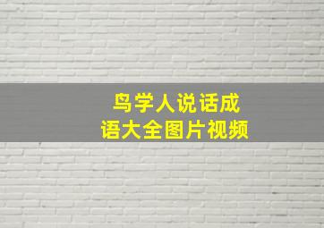 鸟学人说话成语大全图片视频