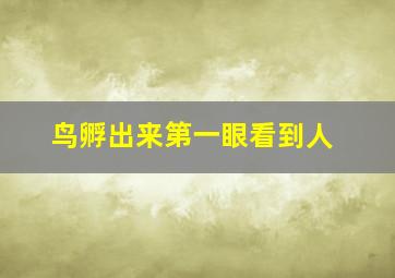 鸟孵出来第一眼看到人