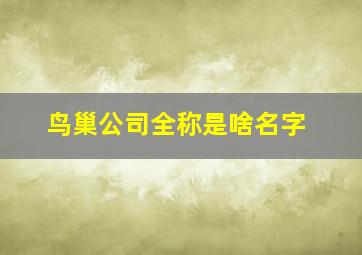 鸟巢公司全称是啥名字