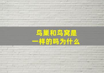 鸟巢和鸟窝是一样的吗为什么