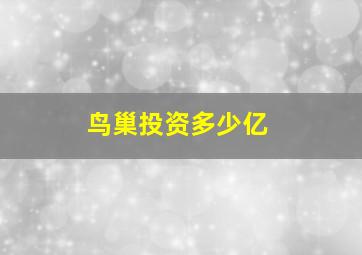 鸟巢投资多少亿