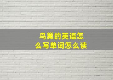 鸟巢的英语怎么写单词怎么读