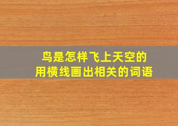 鸟是怎样飞上天空的用横线画出相关的词语