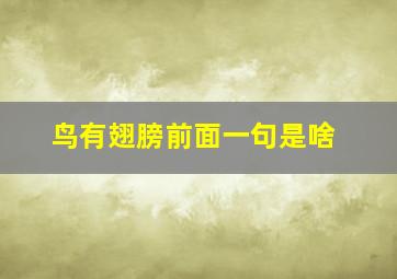 鸟有翅膀前面一句是啥