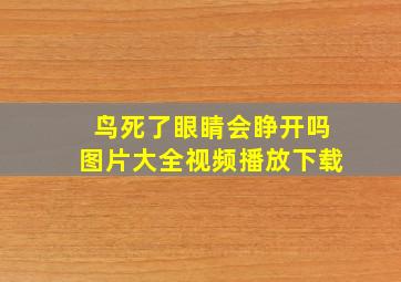 鸟死了眼睛会睁开吗图片大全视频播放下载