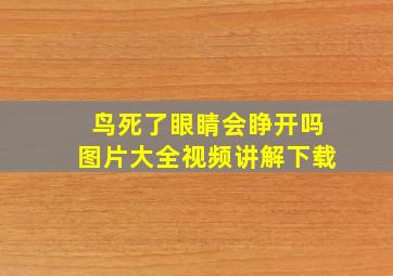 鸟死了眼睛会睁开吗图片大全视频讲解下载