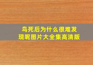 鸟死后为什么很难发现呢图片大全集高清版