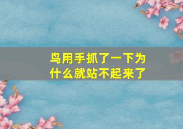 鸟用手抓了一下为什么就站不起来了