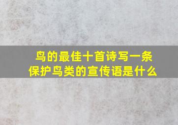 鸟的最佳十首诗写一条保护鸟类的宣传语是什么