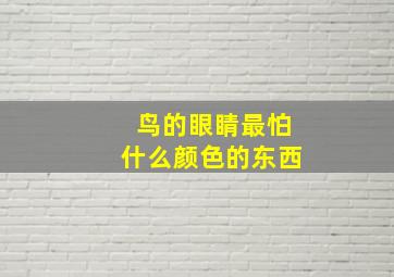 鸟的眼睛最怕什么颜色的东西