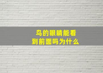 鸟的眼睛能看到前面吗为什么