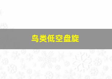 鸟类低空盘旋