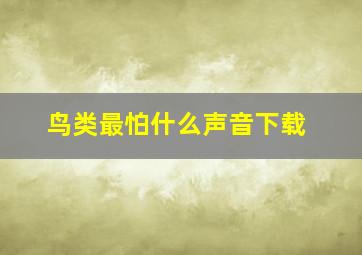 鸟类最怕什么声音下载