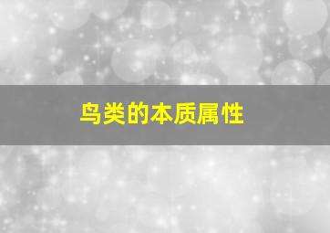 鸟类的本质属性