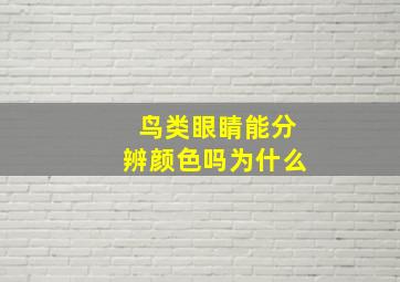 鸟类眼睛能分辨颜色吗为什么