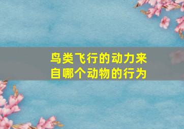 鸟类飞行的动力来自哪个动物的行为