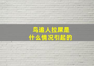 鸟追人拉屎是什么情况引起的