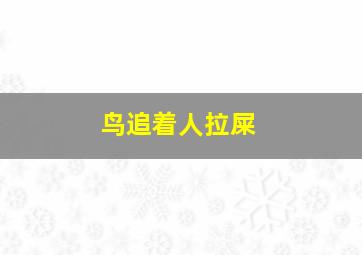 鸟追着人拉屎