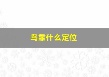 鸟靠什么定位