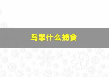 鸟靠什么捕食