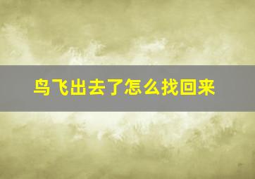 鸟飞出去了怎么找回来