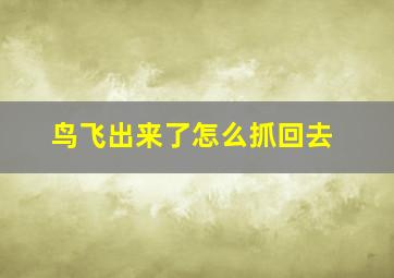 鸟飞出来了怎么抓回去