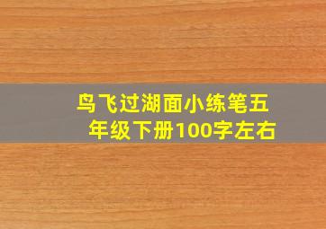 鸟飞过湖面小练笔五年级下册100字左右