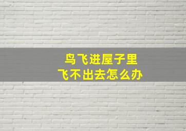 鸟飞进屋子里飞不出去怎么办