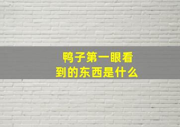 鸭子第一眼看到的东西是什么