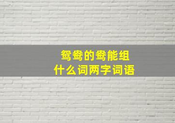 鸳鸯的鸯能组什么词两字词语