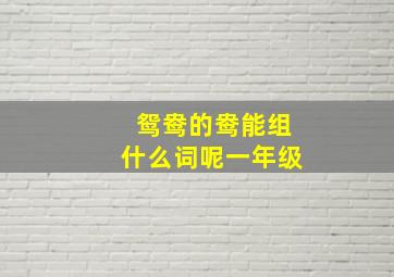 鸳鸯的鸯能组什么词呢一年级