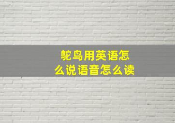 鸵鸟用英语怎么说语音怎么读