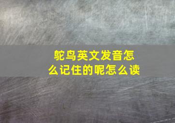 鸵鸟英文发音怎么记住的呢怎么读