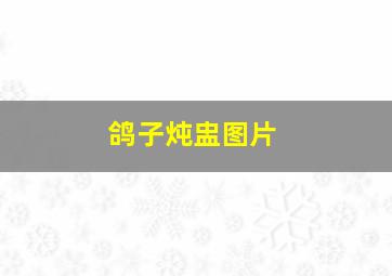 鸽子炖盅图片