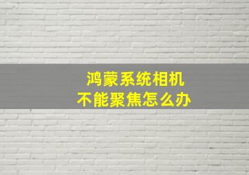 鸿蒙系统相机不能聚焦怎么办