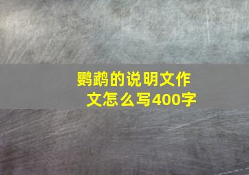 鹦鹉的说明文作文怎么写400字