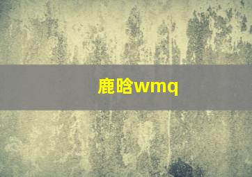 鹿晗wmq