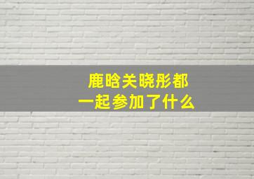 鹿晗关晓彤都一起参加了什么