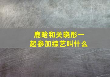 鹿晗和关晓彤一起参加综艺叫什么