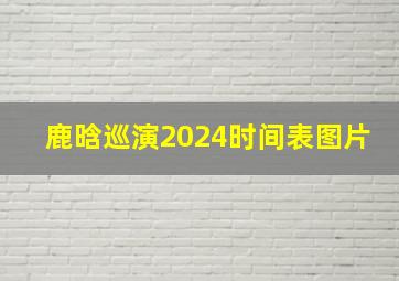 鹿晗巡演2024时间表图片