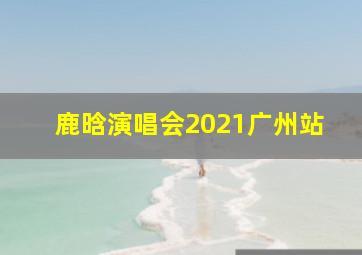 鹿晗演唱会2021广州站